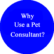 Why use a pet consultant